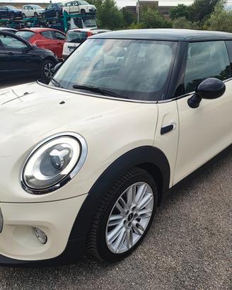 Mini 1.5 One D Hype
