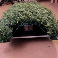 Per foto naturalisti, zattera radiocomandata