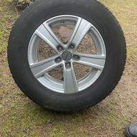 Gomme invernali