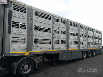 Semirimorchio trasporto bestiame