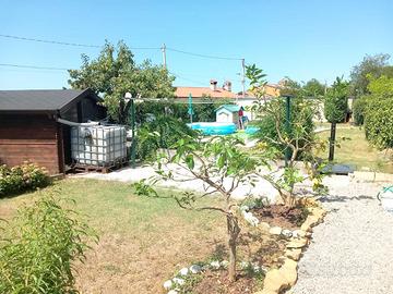 Zona Campanelle