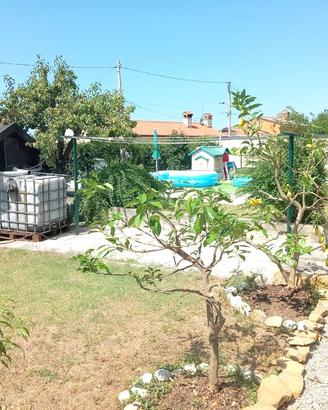 Zona Campanelle