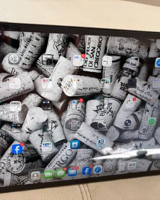 Ipad pro 12,9 terza generazione 64gb wifi