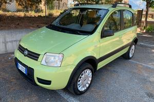 Fiat Panda 1.2 Benzina 4x4