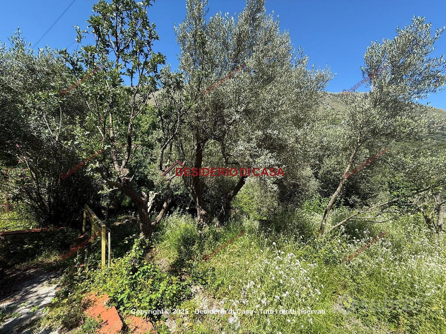 Terreno, Carini. - Vista 3
