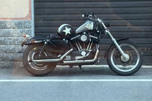 HARLEY DAVIDSON SPORTSTER 883-2000-CARBURATORI