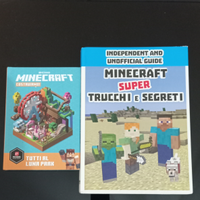 Libri di Minecraft