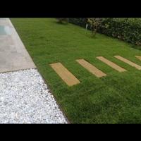 prato pronto  e  Giardini