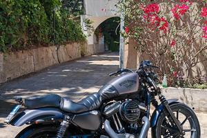 Harley Davidson Sportster 883  Iron 