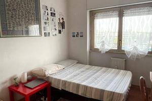 Camera singola zona eur torrino