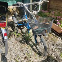 interessante bici  treciclo