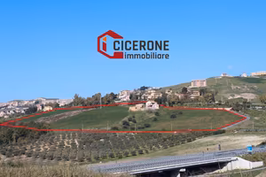 Bifamiliare+rustico+terreno