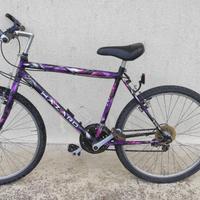 mountain bike uomo