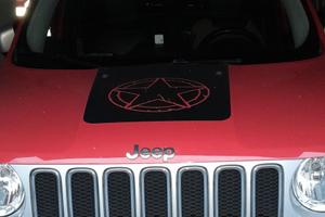 Renegade 1.6 limited t.d.