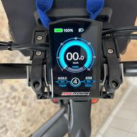 Bicicletta elettrica