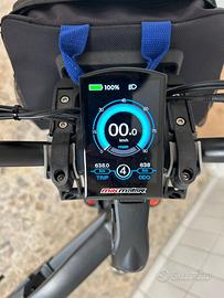 Bicicletta elettrica