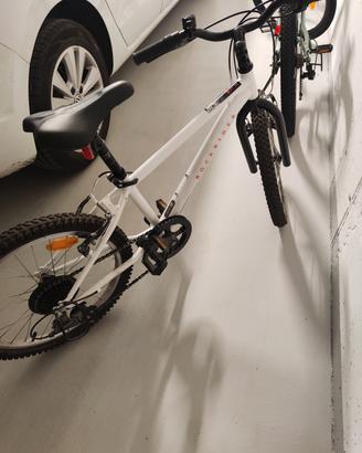 Bici 20 pollici 