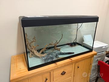 NUOVO ACQUARIO ASKOLL TENERIF