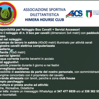 Box cavalli con giostra è campo ecc. disponibile