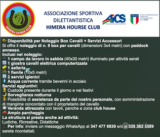 Box cavalli con giostra è campo ecc. disponibile