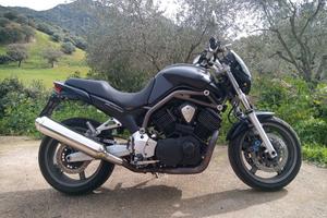 Yamaha Bulldog 1100