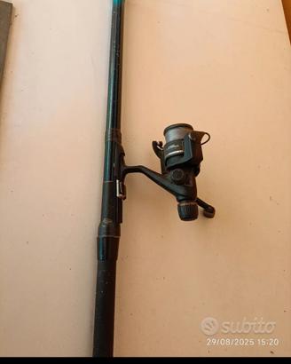 Canna da pesca con mulinello 