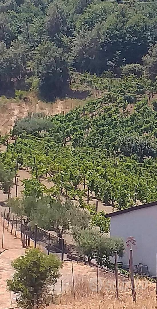 Terreno con fabbricato a Linguaglossa - Vista 3