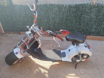 Scooter elettrico Citycoco 1200W