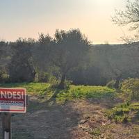 Terreno agricolo
