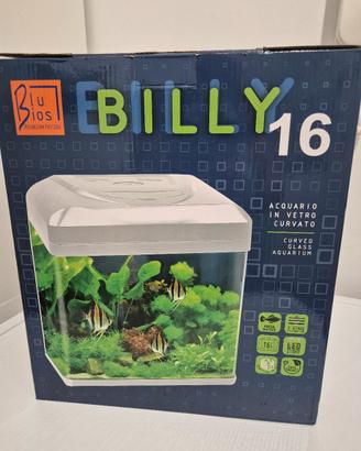 Acquario Billy 16 (lt)