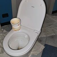 Sanitari