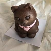 Gattino nero Thun 2026