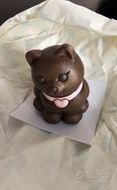 Gattino nero Thun 2026