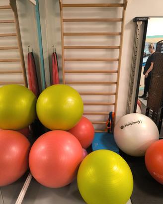 Bosu Pro, Gym Ball grandi e , Palle mediche Toorx,