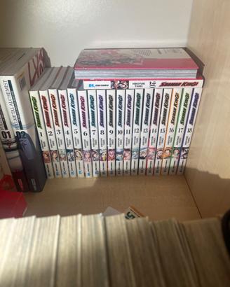 Shaman king