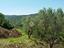 Immagine 20