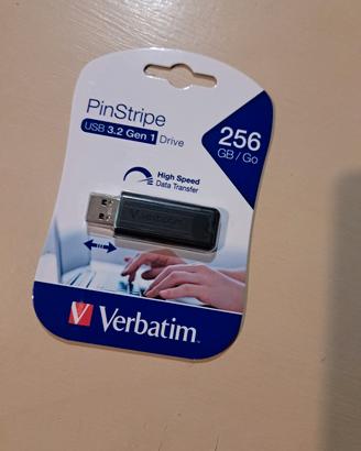 penna usb 256 GB