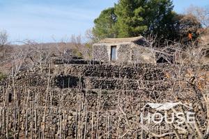 S. maria di licodia - terreno id: sml040t