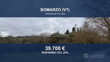 Immobile in asta di 85900 m² a Bomarzo