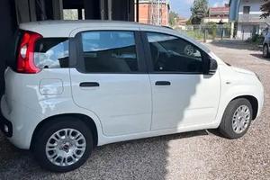 auto usate verificate-varie disponibilità