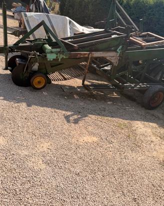 cava scava patate scavapatate Cavapatate