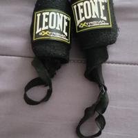 polsini leone