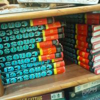 enciclopedia Conoscere 