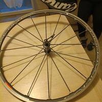 2 ruote bicicletta da corsa FULCROM CAMPAGNOLO