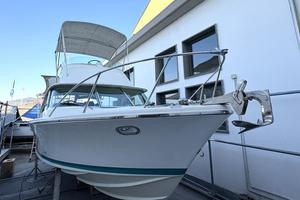 RIVA BERTRAM 25