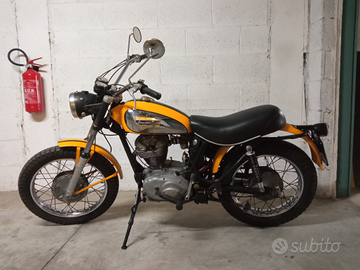Ducati Scrambler 250 anno 1971