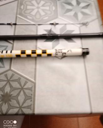 canna da surf casting