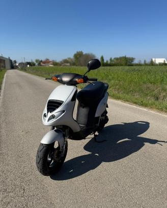 Piaggio nrg libretto verde
