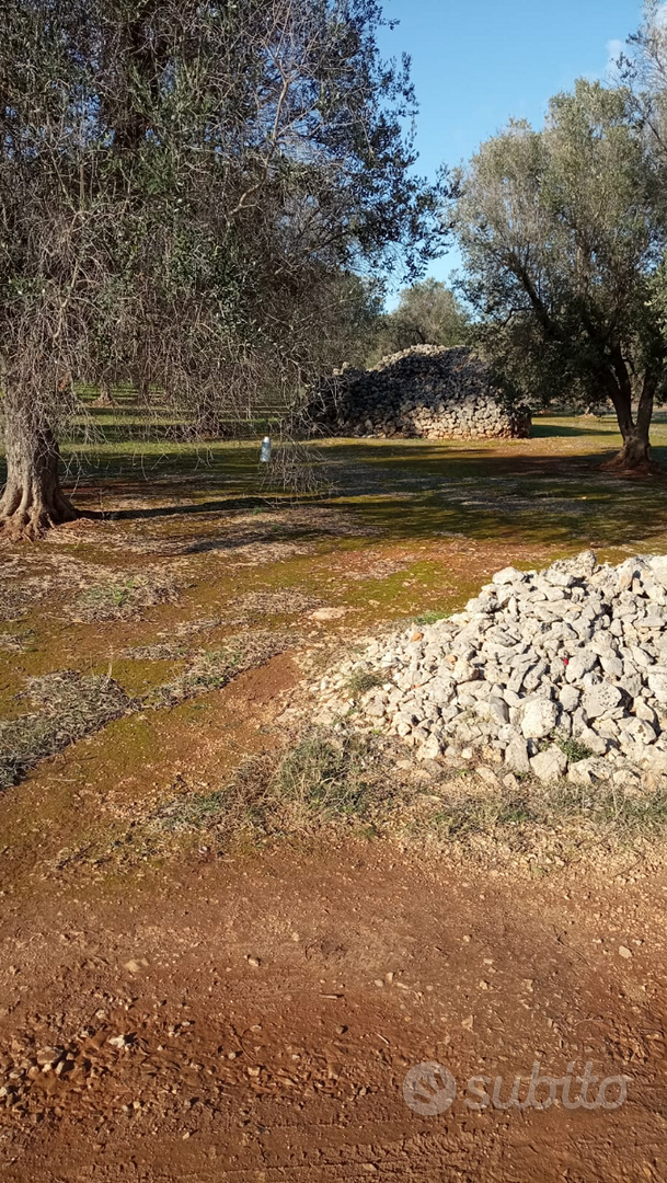 Terreno agricolo su Francavilla Fontana - Vista 3