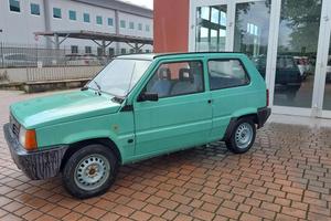 FIAT Panda 1ª serie 1100 i.e. cat Young